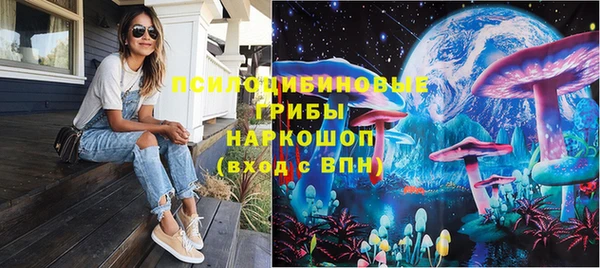 индика Армянск