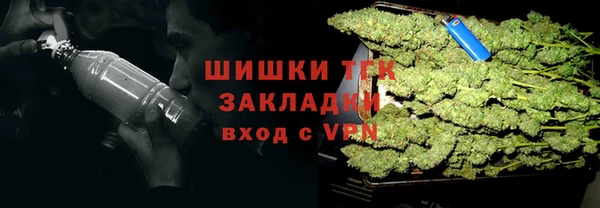 ешки Аркадак