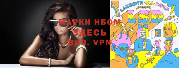 ешки Аркадак