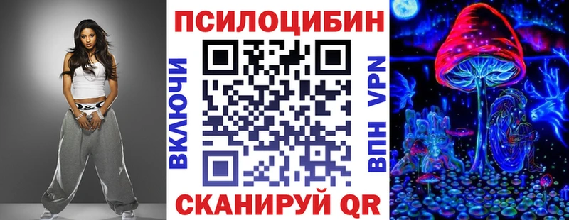 сколько стоит  Отрадный  Галлюциногенные грибы Psilocybine cubensis 